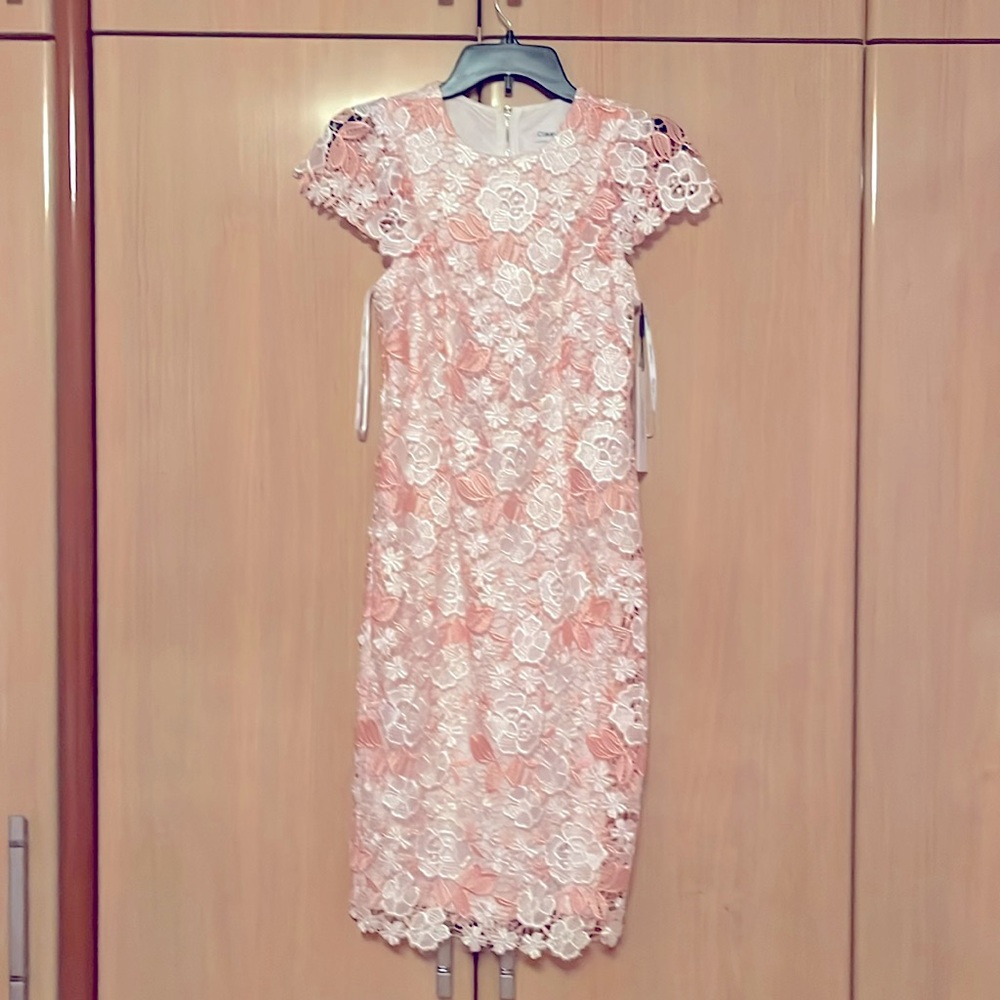 Pink and white, lace floral stunning Calvin Klein dress.